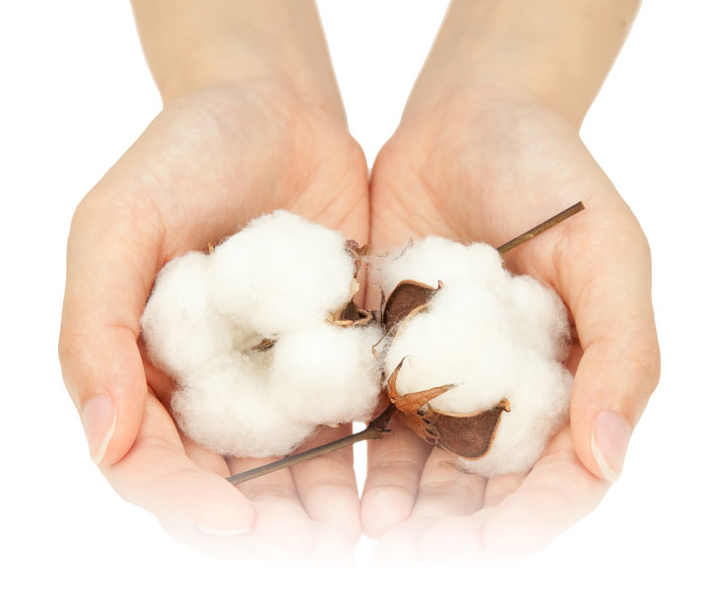 株式会社 石川技研 株式会社石川技研